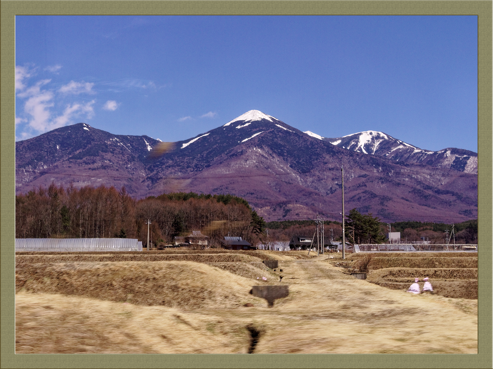 中央東線